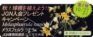 秋!球根を植えよう!! 秋のJGN入会プレゼントキャンペーン