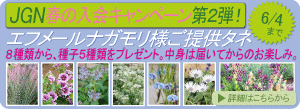 2018年3月19日~6月4日 春のJGN入会キャンペーン第2弾! 春播き、秋播きどちらもOK! 8種類の中から、5種類の種子をプレゼント エフメールナガモリ様ご提供