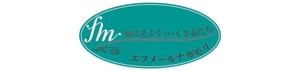 エフメールナガモリ有限会社 紹介ページ