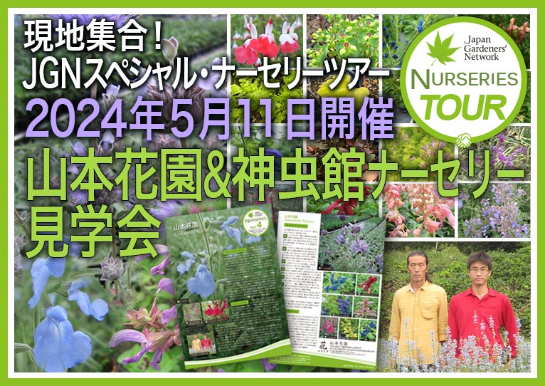 日本で育つ熱帯花木植栽事典トロピカル・ガーデニング・マニュアル坂崎 
