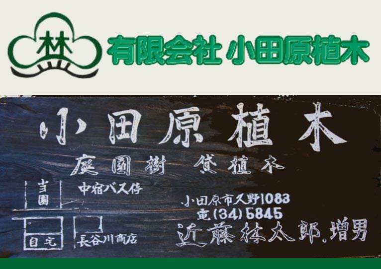 有限会社 小田原植木紹介ページ Gadenetガデネット ガーデニング 園芸を楽しむjgnのコミュニティサイト