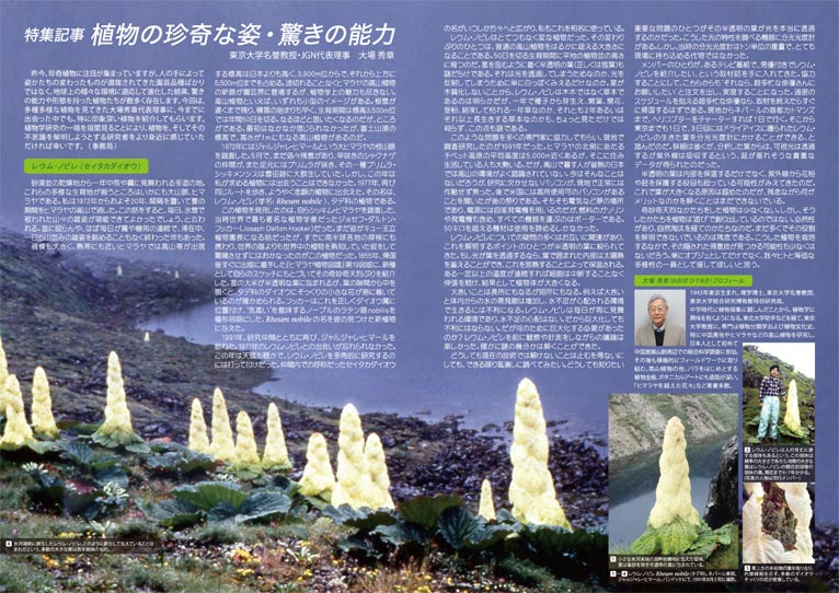 特集記事 植物の珍奇な姿・驚きの能力　東京大学名誉教授・JGN代表理事　大場 秀章氏