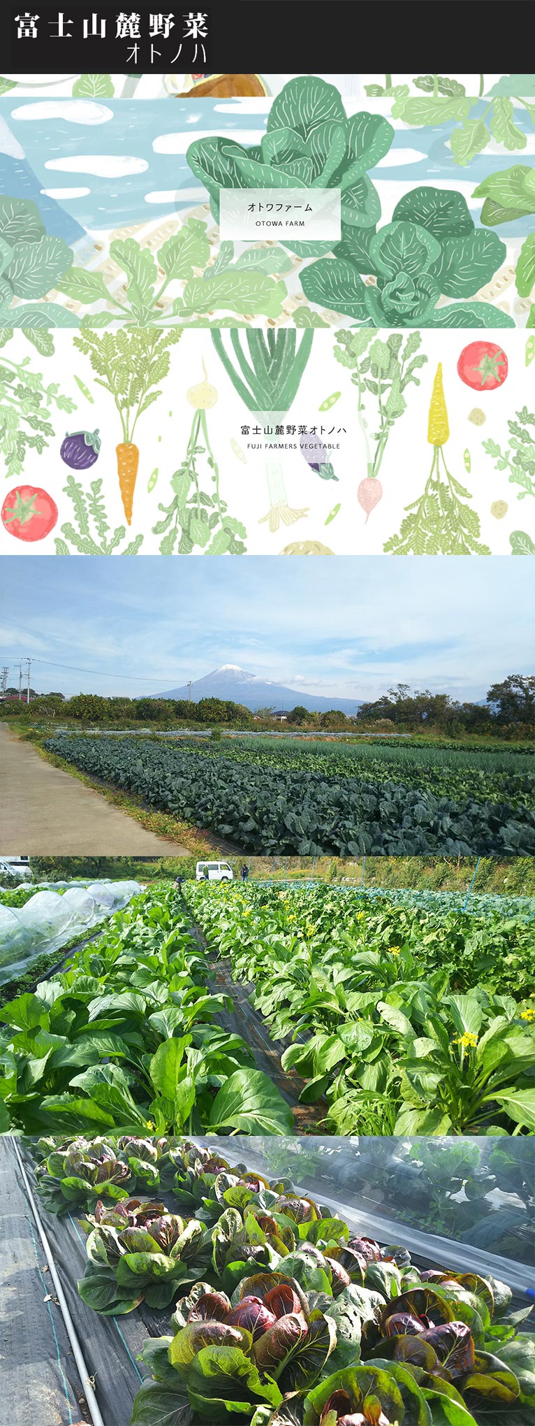 通信販売サイト 富士山麓野菜オトノハ