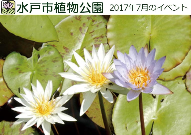 水戸市植物公園 2017年7月のイベント