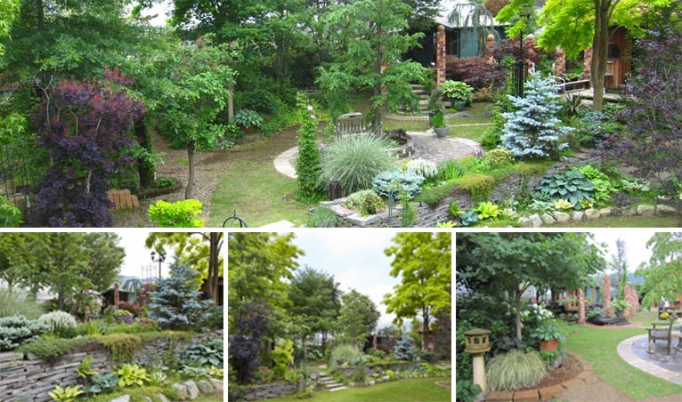 Zoony Garden ズーニィ・ガーデン　紹介ページ　家族を幸せにする庭づくりをしています！
