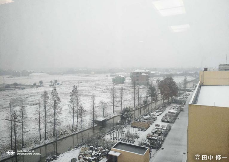 2018年1月　中国杭州市のガーデンセンターも雪景色　～特集記事でご紹介した現場から～