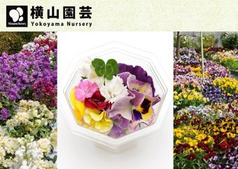 横山園芸 横山 直樹 Gadenetガデネット ガーデニング 園芸を楽しむjgnのコミュニティサイト