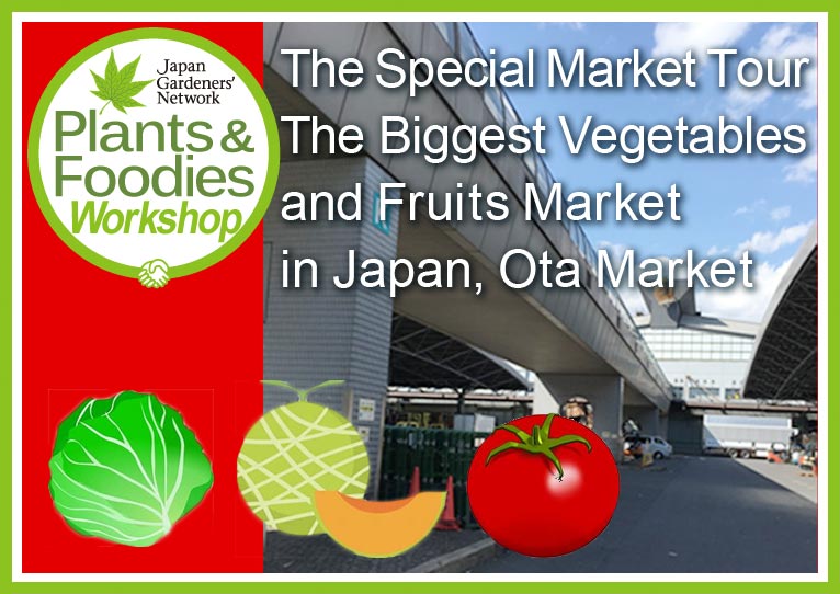 Saturday 2 June 2018　The Special Market Tour The Biggest Vegetables and Fruits Market in Japan, Ota Market