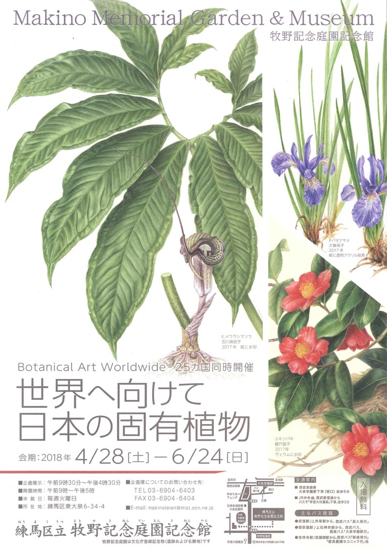 2018年4月28日～6月24日 Botanical Art Worldwide －25か国同時開催「世界へ向けて日本の固有植物」 練馬区立牧野記念庭園