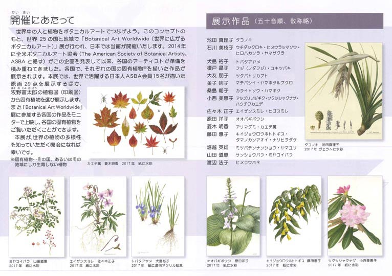 2018年4月28日～6月24日 Botanical Art Worldwide －25か国同時開催「世界へ向けて日本の固有植物」 練馬区立牧野記念庭園