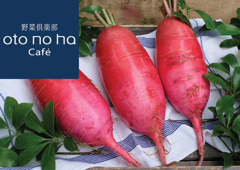 ～2018年6月30日 旬の野菜 販売中『今回のおススメ　茜(あかね)大根(だいこん)』 野菜倶楽部 oto no ha Café（オトノハカフェ）