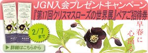 2019年1月15日~2月7日 JGN入会キャンペーン実施中! 新規ご入会の方に 第17回クリスマスローズの世界展ペア招待券をプレゼント!