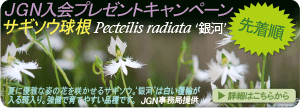 2019年1月31日~ JGN入会プレゼントキャンペーン サギソウ‘銀河’球根5球