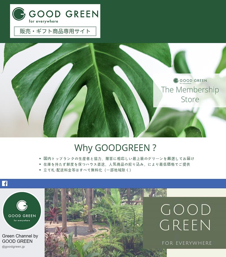 【GOOD GREEN】観葉植物レンタル・リースのグッドグリーン 紹介ページ