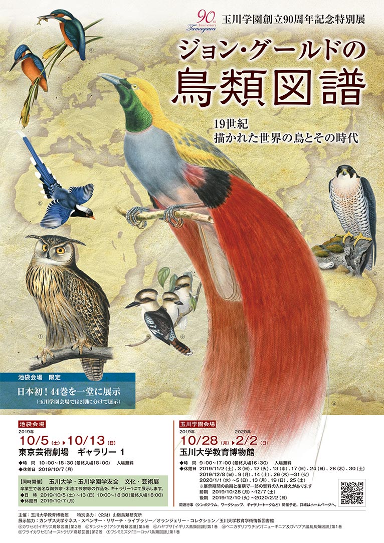 2019年10月5～13日東京芸術劇場『ジョン・グールドの鳥類図譜展』