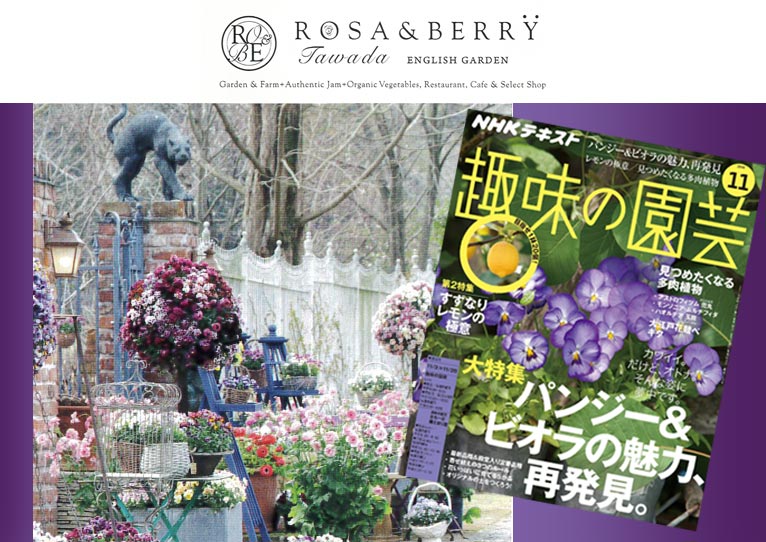 『趣味の園芸 2019年11月号』パンジー＆ビオラの魅力再発見でローザンベリー多和田がご紹介されています！