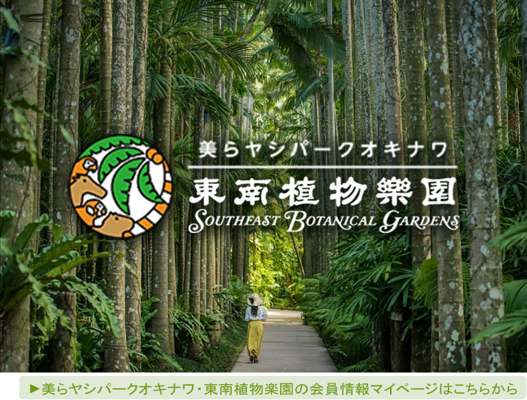 【JGN法人会員】 美らヤシパークオキナワ・東南植物楽園の会員情報マイページはこちらから