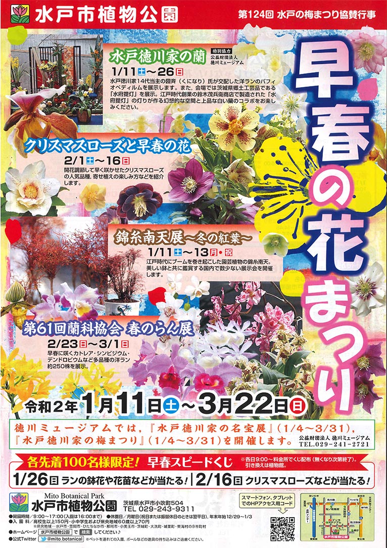 2020年1月11日～3月22日　早春の花まつり　水戸市植物公園