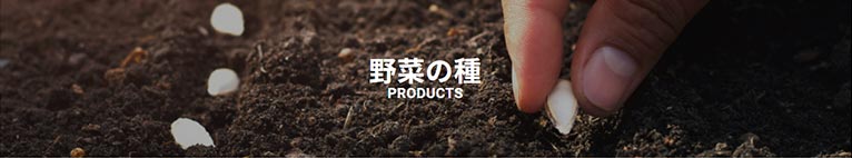 朝日アグリア株式会社　紹介ページ　野菜の種