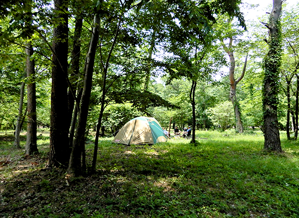 赤城自然園体験プログラム　赤城自然園 森のキャンプ場 MORIHAKU【要予約】