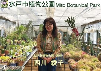 水戸市植物公園 西川綾子 Gadenetガデネット ガーデニング 園芸を楽しむjgnのコミュニティサイト