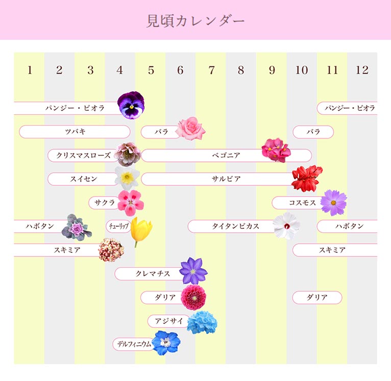 ガーデニングミュージアム 花遊庭 紹介ページ