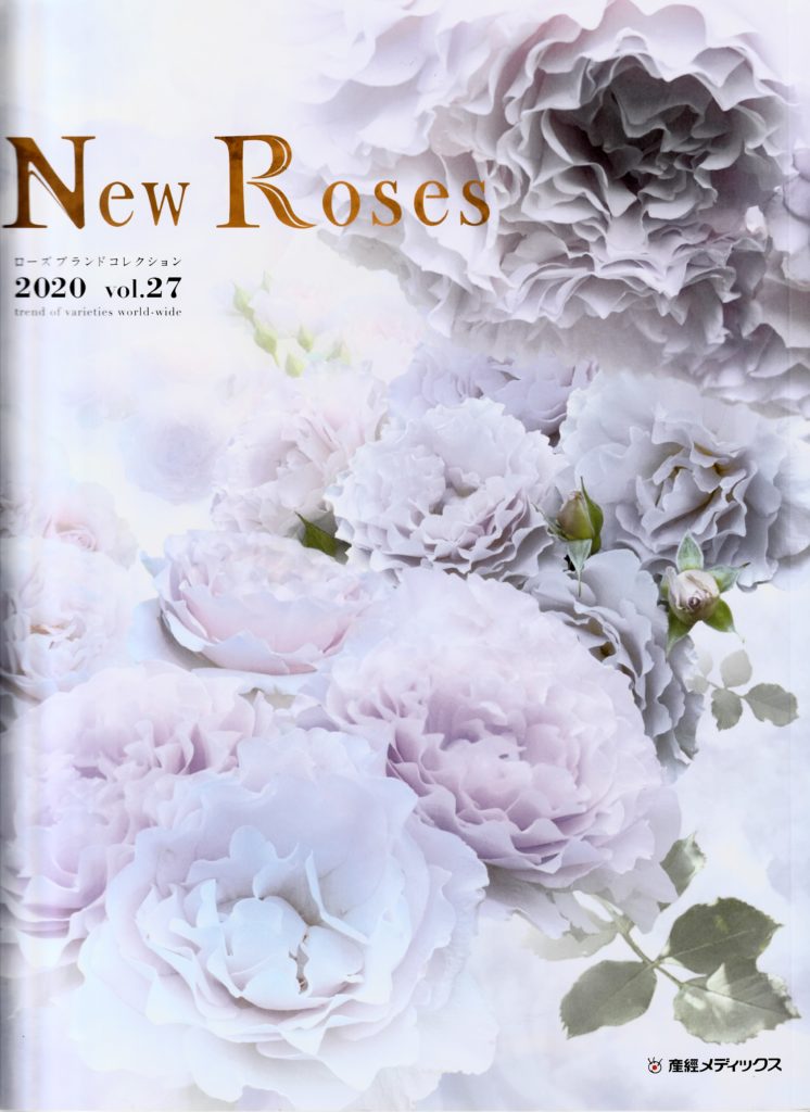New Roses 2020 vol.27『バラ‘縁（ゆかり）’と草花の寄せ植え例』 花遊庭 豊田ガーデン