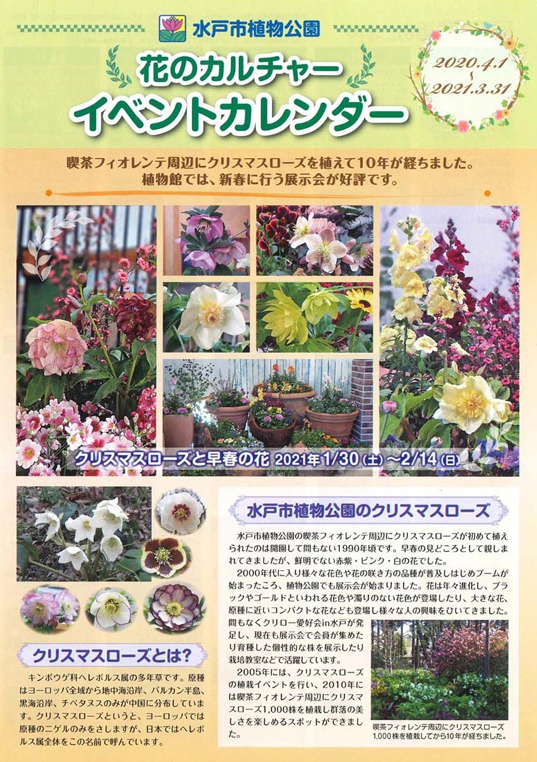2020年4月1日～2021年3月31日　イベントカレンダー　水戸市植物公園　花のカルチャー
