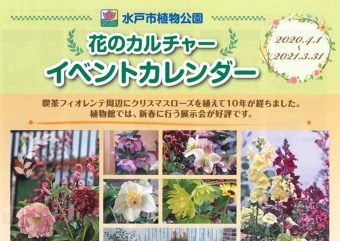 水戸市植物公園 西川綾子 Gadenetガデネット ガーデニング 園芸を楽しむjgnのコミュニティサイト