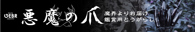株式会社ゲブラナガトヨ 紹介ページ
