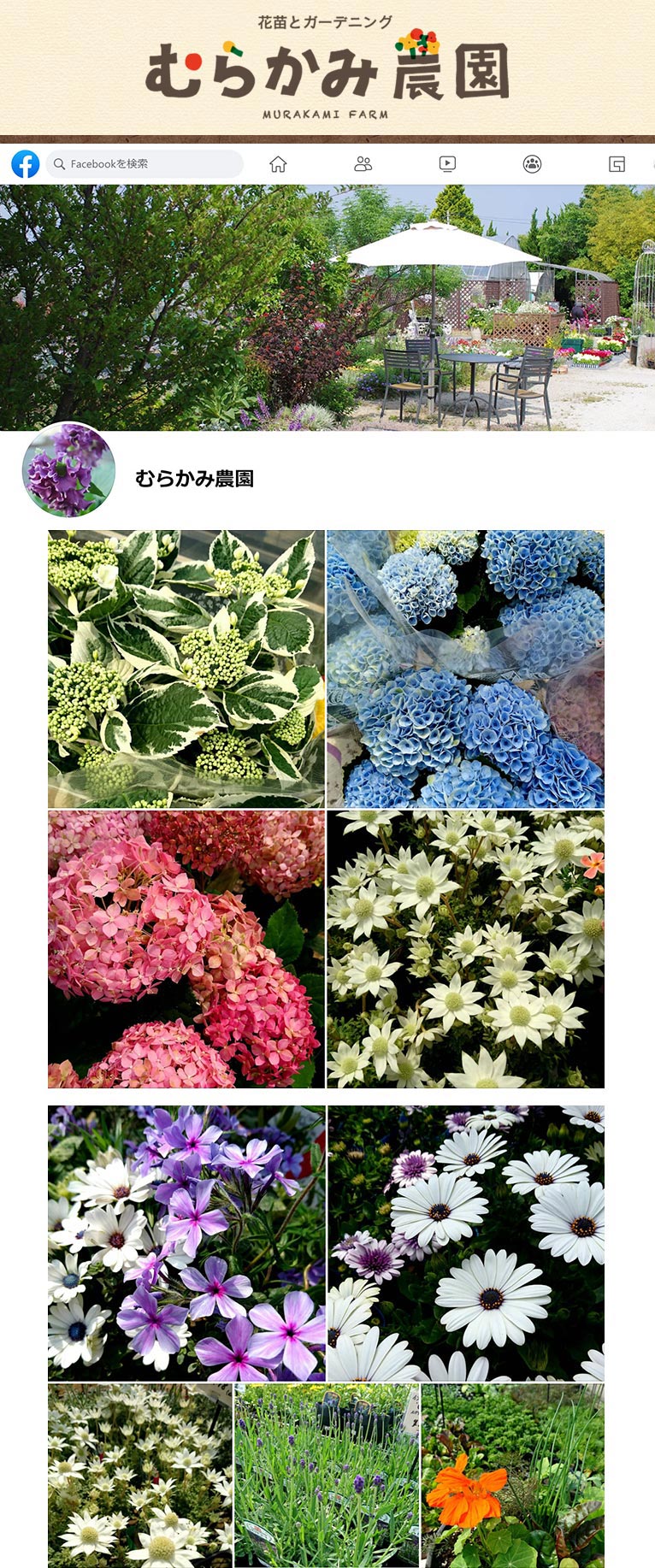 facebookで入荷・販売情報をお知らせしています　むらかみ農園