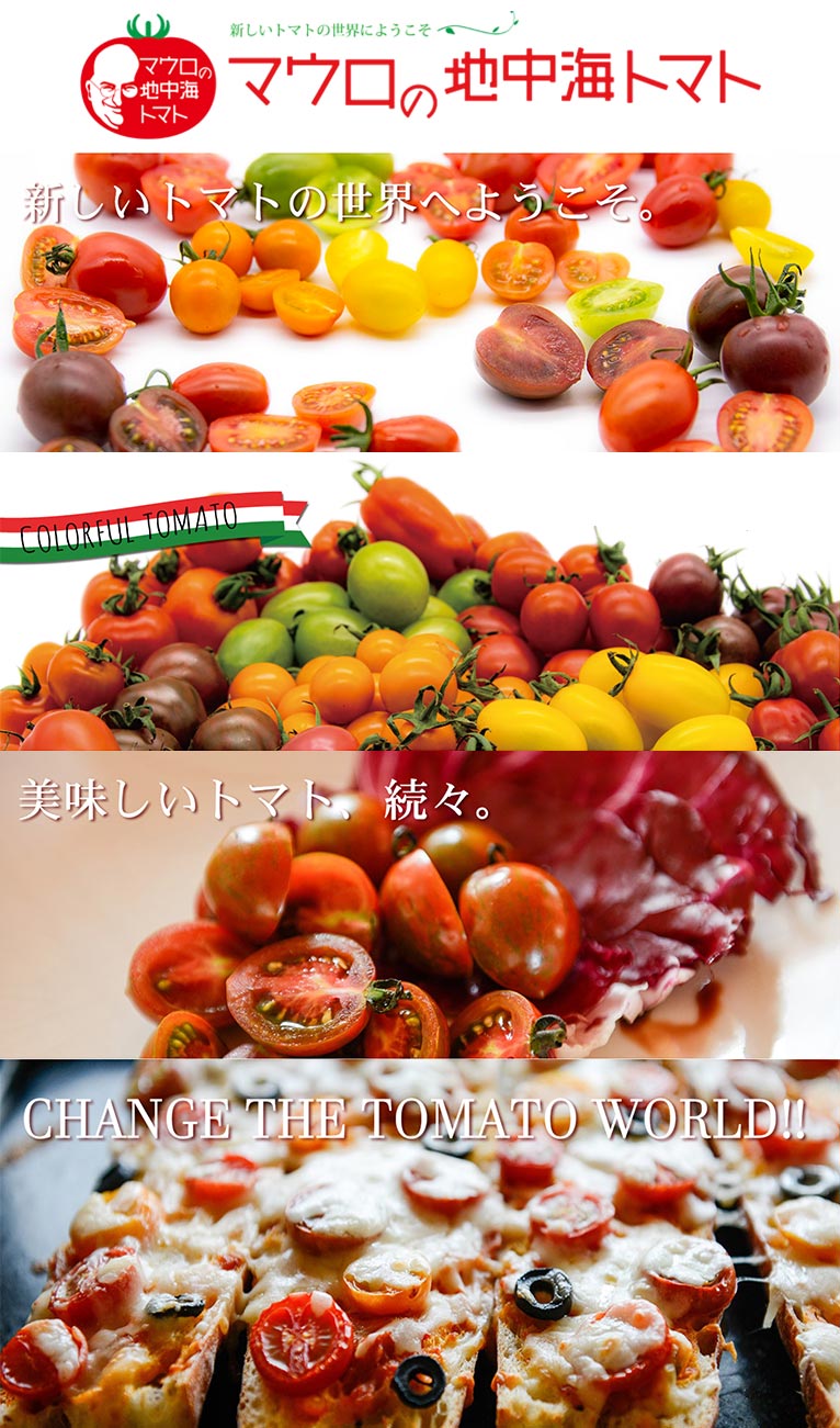 新しいトマトの世界へようこそ『マウロの地中海トマト』パイオニアエコサイエンス株式会社