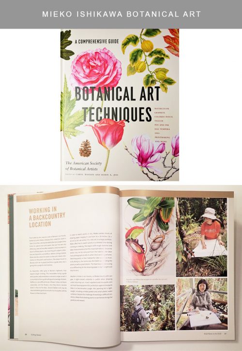 Botanical Art Techniques