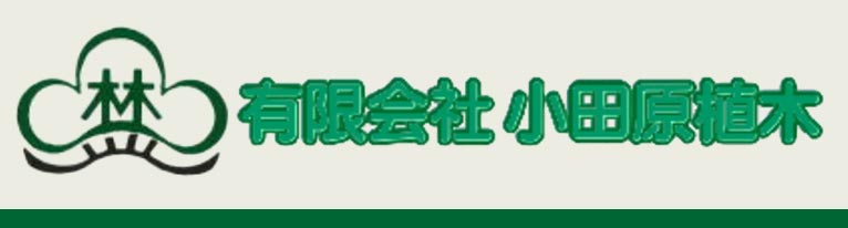 赤ひげ小田原植木 Gadenetガデネット ガーデニング 園芸を楽しむjgnのコミュニティサイト