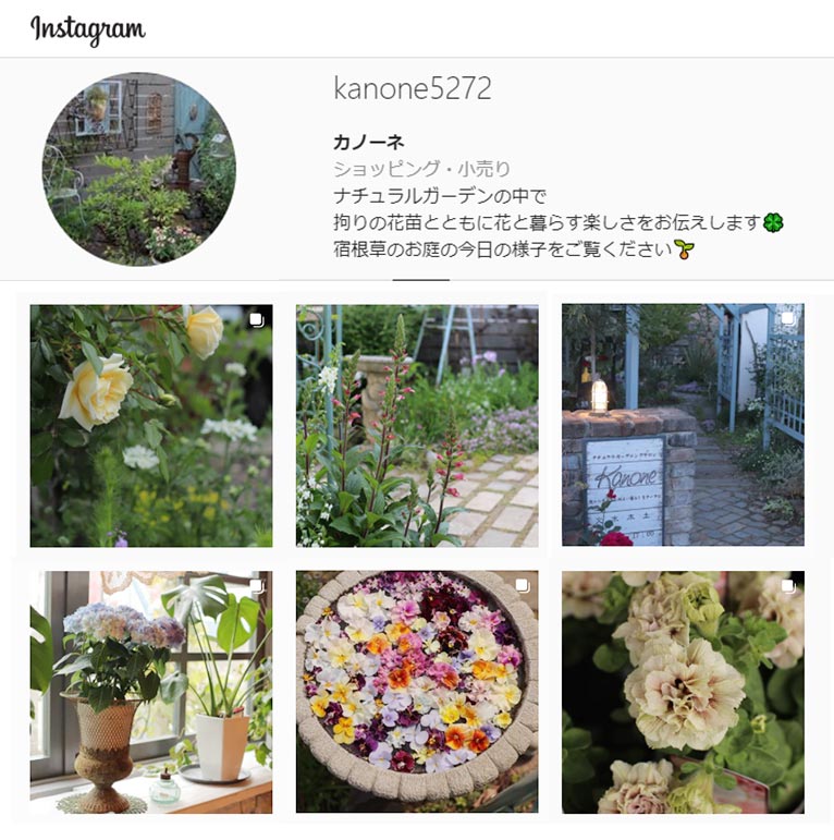 ナチュラルガーデニングサロン カノーネ 酒井寛子 紹介ページ Instagram カノーネのお庭