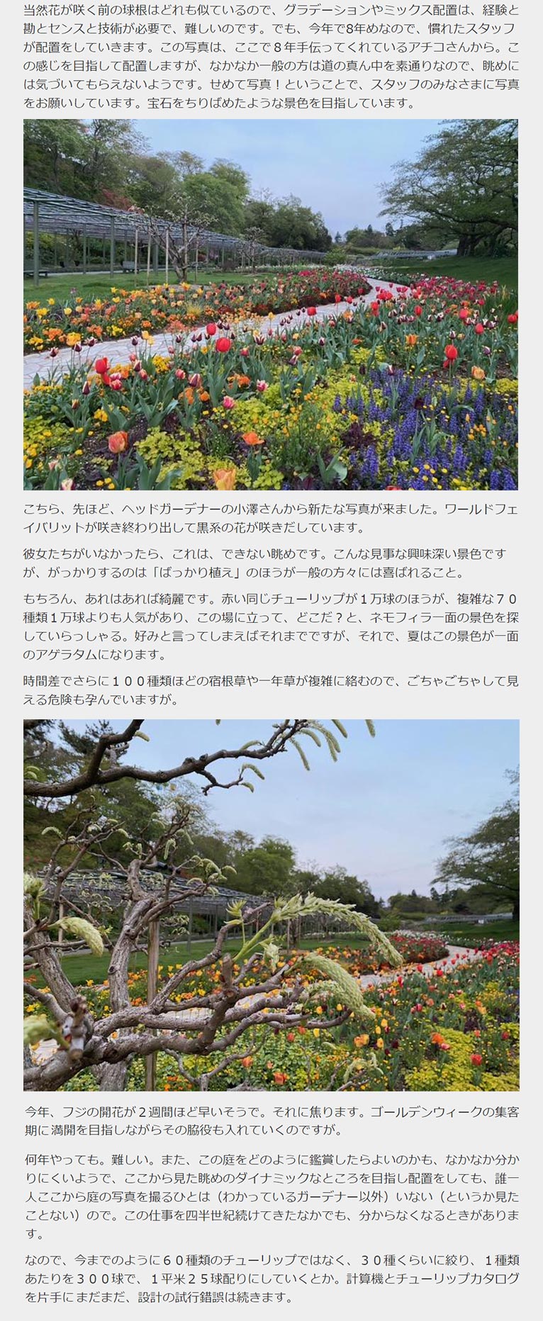 想像と現実の世界で、植物配置のデザイン　吉谷桂子のガーデンダイアリー ～花と緑と豊かに暮らすガーデニング手帖～