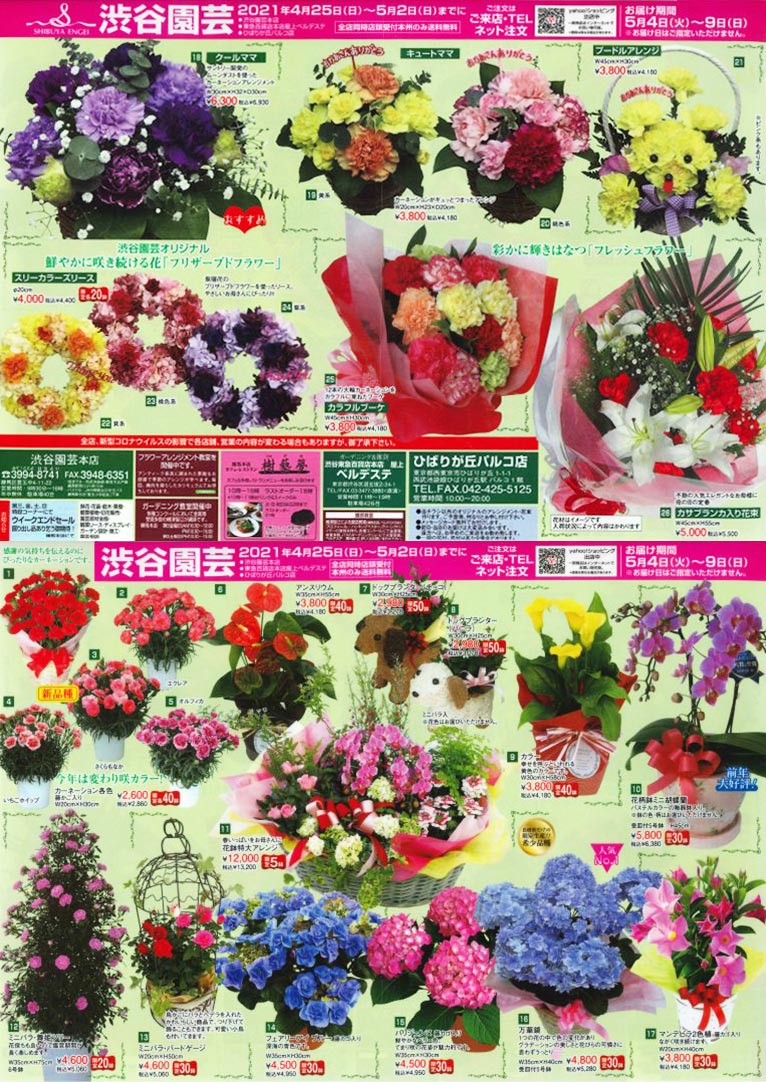 【早割り特典：送料無料！】2021年4月25日～5月2日　渋谷園芸 母の日フェア