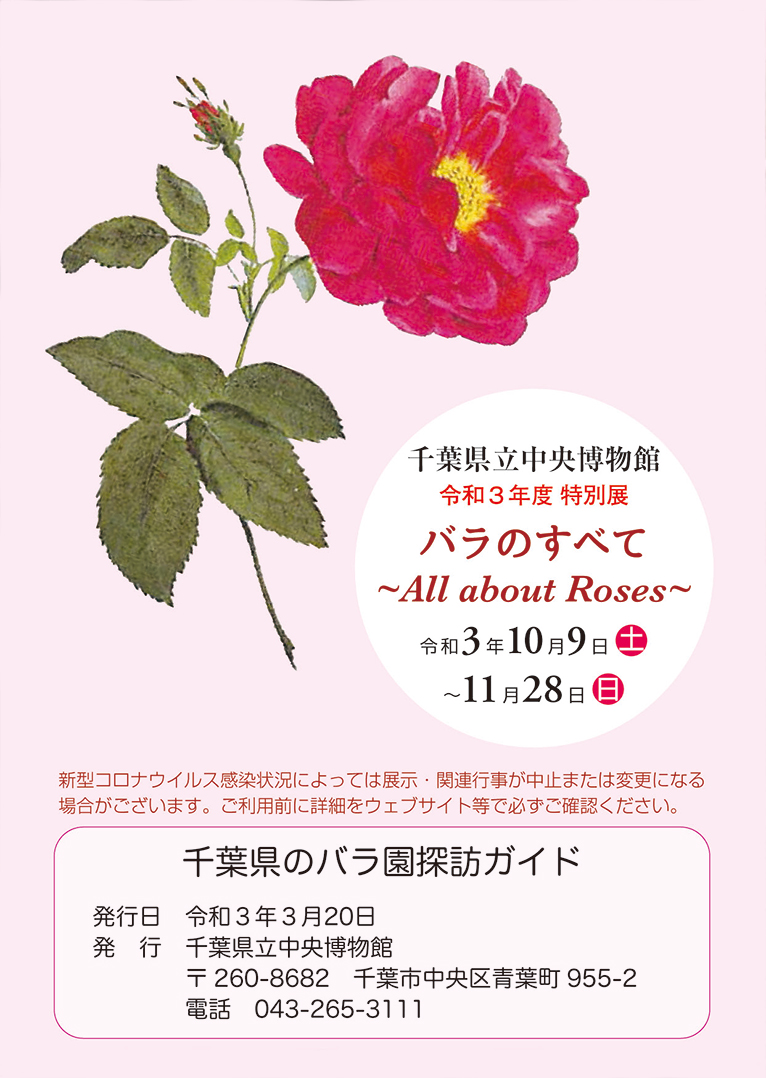 2021年5月1日～11月28日　千葉県のバラ園スタンプラリー開催！　10月9日～11月28日千葉県立中央博物館特別展『バラのすべて』
