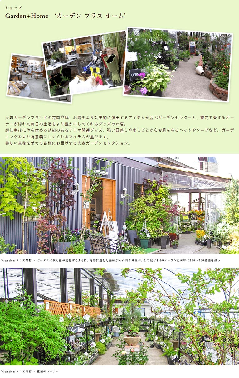 大森ガーデン　紹介ページ　ショップ　Garden+Home　‘ガーデン プラス ホーム’