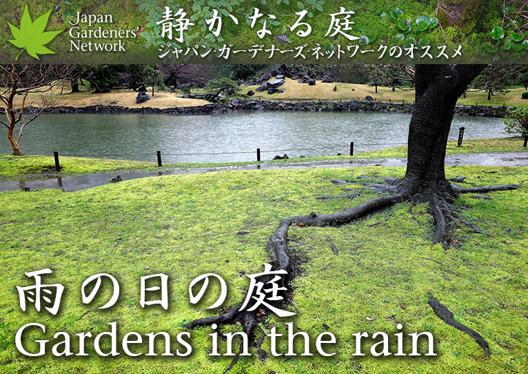 【JGN 静かなる庭】
雨の日の庭
Gardens in the rain