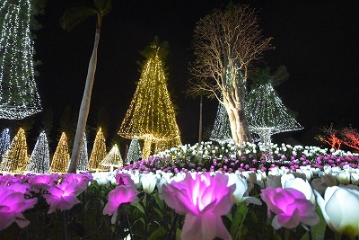 2021年10月22日～2022年5月29日『沖縄南国イルミネーション2021-2022』～南国の陽気な明かりに誘われてみんなの笑顔が輝きだす～東南植物楽園
