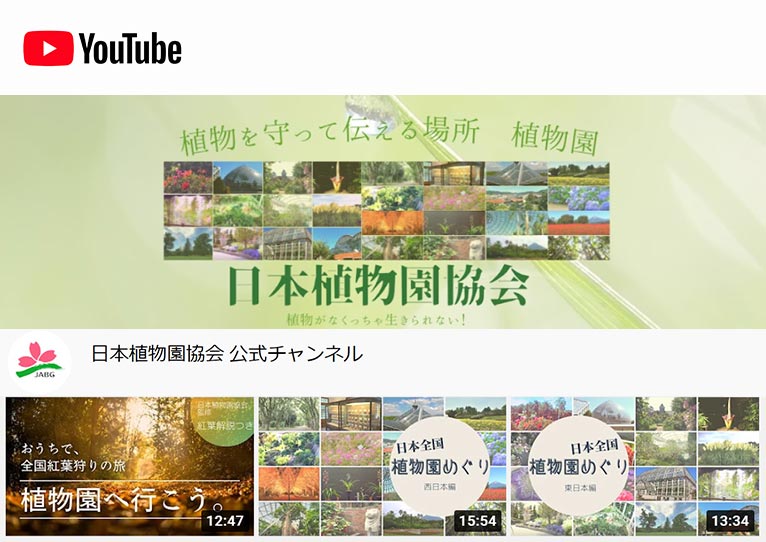 YouTubeチャンネル「日本植物園協会公式チャンネル」で、 植物園オンラインツアー第１弾「日本全国植物園めぐり」を公開しました。
