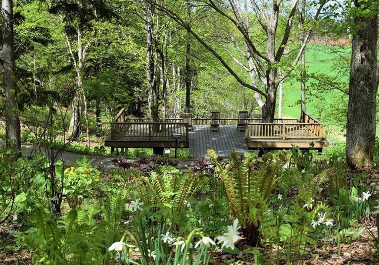 2021年度振り返りシリーズをInstagramで紹介しています！5月の森の迎賓館　大雪森のガーデン