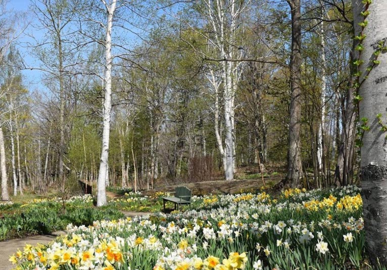 2021年度振り返りシリーズをInstagramで紹介しています！4・5月の森の花園　大雪森のガーデン