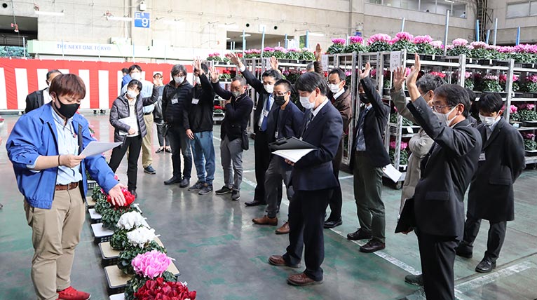 一般社団法人 日本花き生産協会主催　2021年度 第55回全国花き品評会 シクラメン部門　山梨県 保坂フラワー 保坂親司さんのシクラメン（ワインレッド）がジャパン・ガーデナーズ・ネットワーク賞を受賞されました。