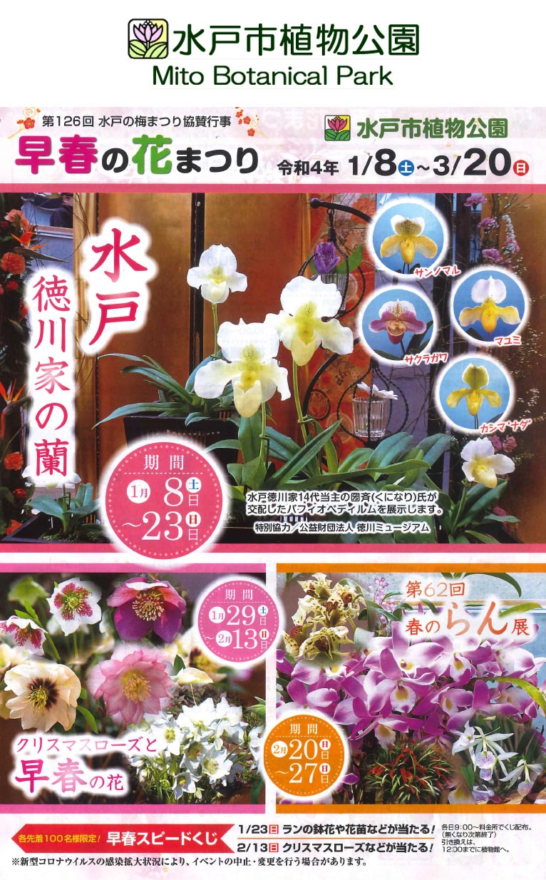 2022年1月8日～3月20日『早春の花まつり』水戸市植物公園