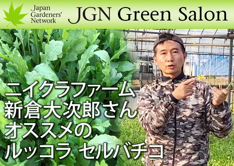 YouTube動画【JGN グリーンサロン】 JGN創立メンバー ニイクラファーム 新倉大次郎さんオススメのルッコラ セルバチコ