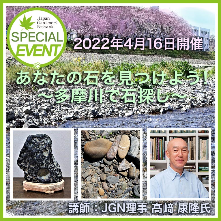 2022年4月16日（土）　JGNイベント『あなたの石を見つけよう！～多摩川で石探し～』講師：JGN理事 髙﨑 康隆氏