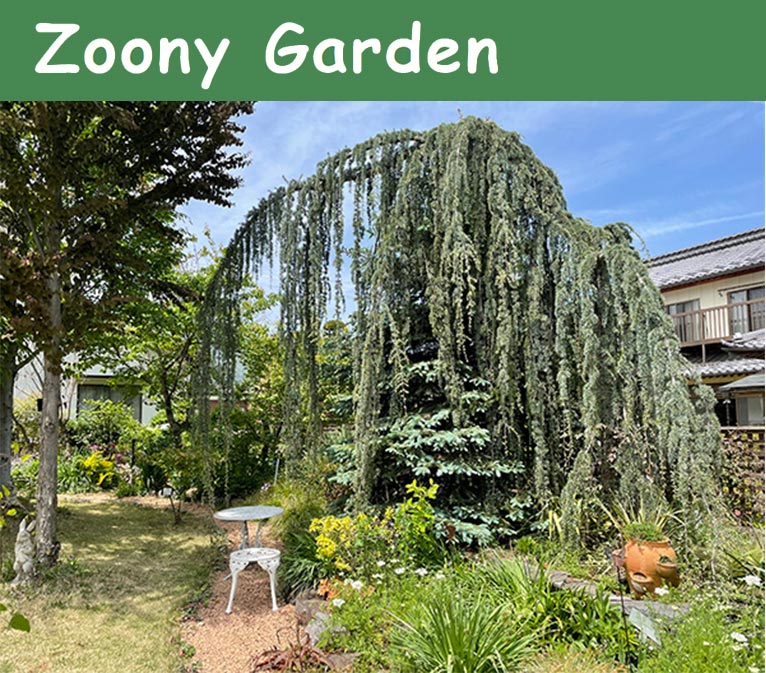 2022年4月9・10日Zoony Garden『庭づくりセミナー』
