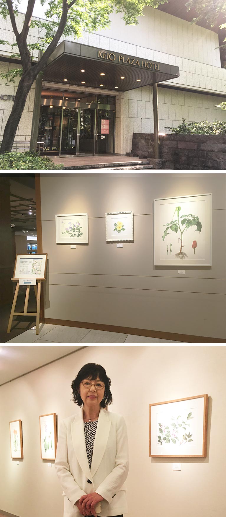 『Japan-Korea Botanical Art Exchange Exhibition in Japan 日本-韓国ボタニカルアート交流展』に行ってきました。